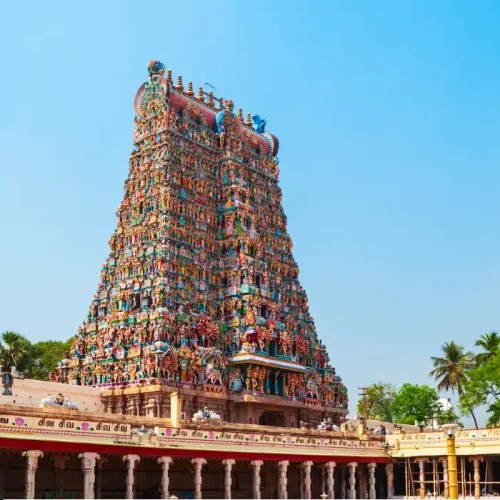 Hyderabad To Arunachalam Tempo Traveller